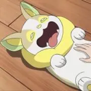 クロの画像