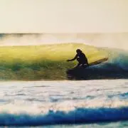 mototoru