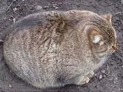 ten127の画像