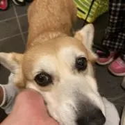 かっけーるぅ