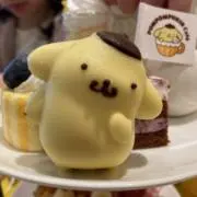 ちょこぽむの画像