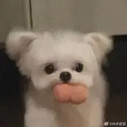 DeLicaCy_Suの画像