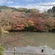 アメ
