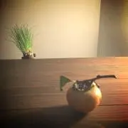 ガミーの画像
