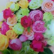 Rachel ;-)の画像