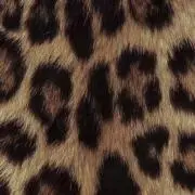 ・の画像
