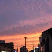 nagiyuyu