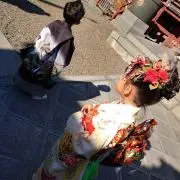 Vvhieの画像