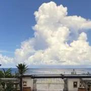 フリーウェイの画像