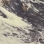 ジジの画像
