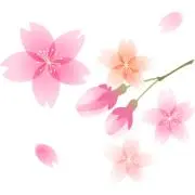 れでぃ/自己紹介目を通して下さいの画像