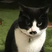 ハナ
