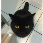 幸梟★プロフ必見の画像