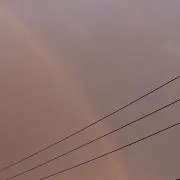 はな