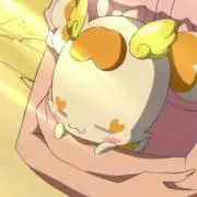 日向の画像