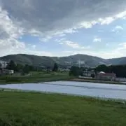 けーさんの画像