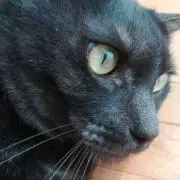 Mya(^^)//