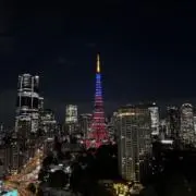 メルルの画像