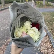 minaの画像