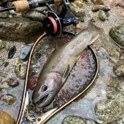 川鯖　※要プロフ確認の画像