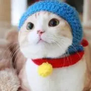 ちよの画像