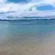 ぼん