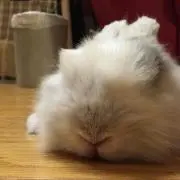 あんり