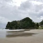 せいの画像
