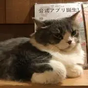 みじょぱ☆の画像