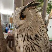 ぽち☆【6月6～7日発送不可】の画像