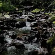 あお　プロフ一読　挨拶いりませんの画像