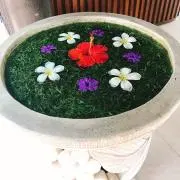 mochi7の画像