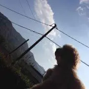 tamapiyo❤︎