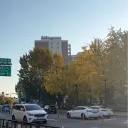 고하の画像