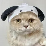 一休にゃん