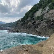 ふやんの画像