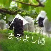 5匹の子豚♡プロフィール必読