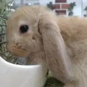 ☆あらじん☆の画像