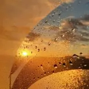 にむ。プロフ確認お願いいたしますの画像