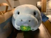 人類は衰退しました 妖精さん なかたさんとおともだちセット - メルカリ