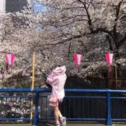 ぱるたん
