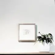 ことはの画像