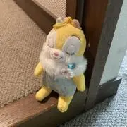 クラリス☆の画像
