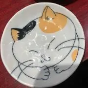 Ruoの画像