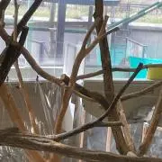 雨の画像