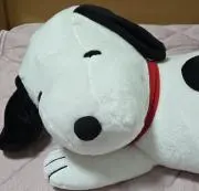 ✨ひなたぼっこ✨の画像