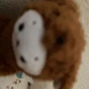 ちぴ◆SHOP◆の画像