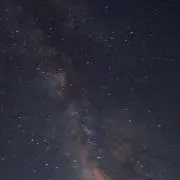 もみじ