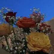 Kの画像
