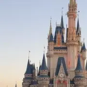 せの画像